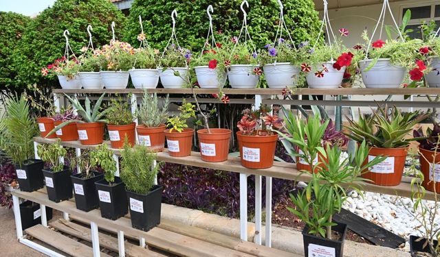 Kepez Bahçe Market Antalya'nın hizmetine açılıyor