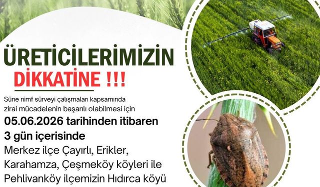 Kırklareli'nde süne zararlısına karşı ilaçlı mücadele kararı