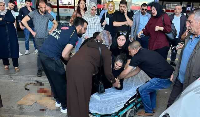 Köpeğin saldırdığı kadın yaralandı