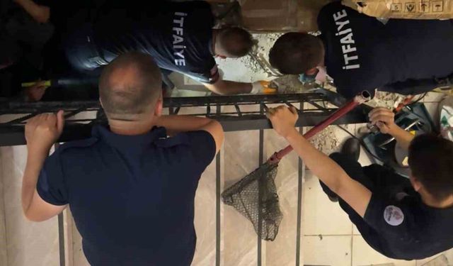 Merdiven boşluğuna sıkışan kedi merdiven ve fayans kırılarak kurtarıldı