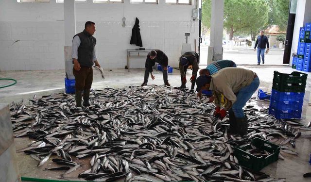 Muğla'nın Mayıs ayı ihracatı 107 milyon dolar