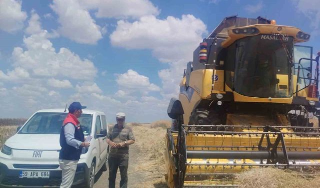Muratlı'da biçerdöver denetimleri