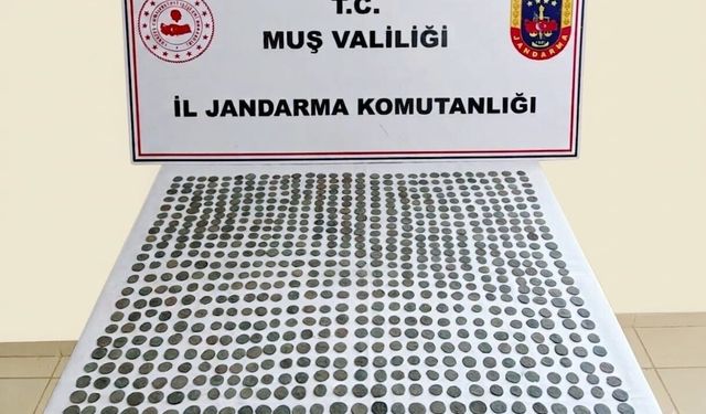 Muş'ta 749 adet tarihi sikke ele geçirildi