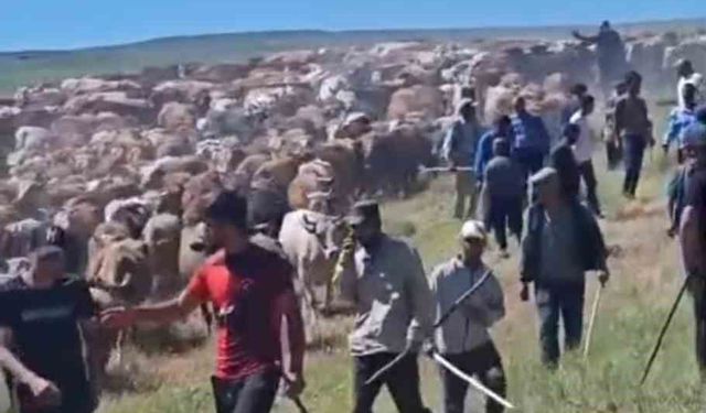 Muş'ta iki köy arasında 'arazi' kavgası: 2 yaralı
