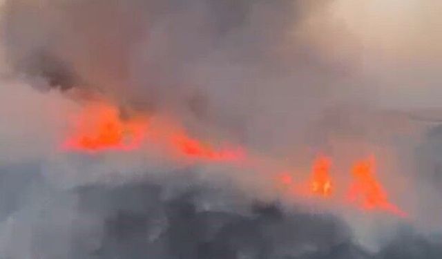 Oğuzeli'nde buğday tarlasında yangın