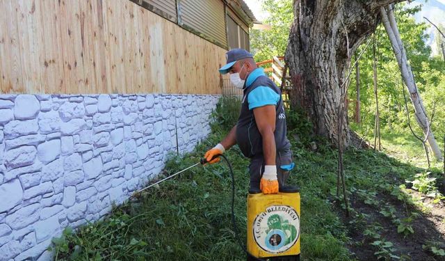 Oltu Belediyesi'nden kene ile mücadelede yoğun mesai