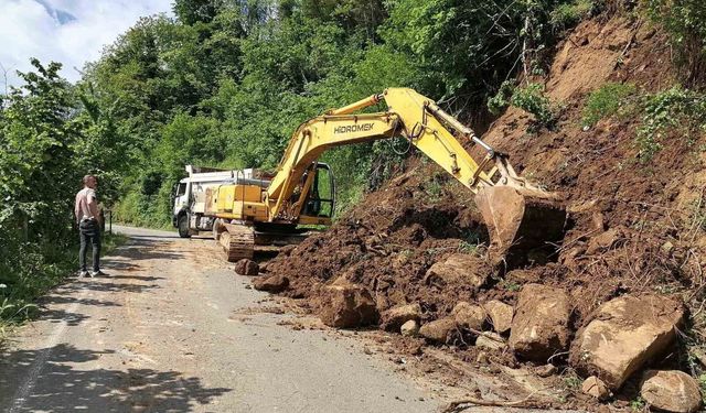 Ordu'da heyelan nedeniyle ulaşıma kapanan 236 mahalle yolu açıldı