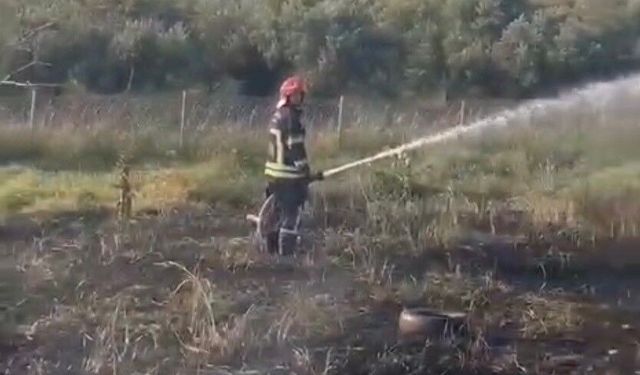Osmaniye'de tankerin lastiklerinden çıkan yangın zeytin bahçesine sıçradı