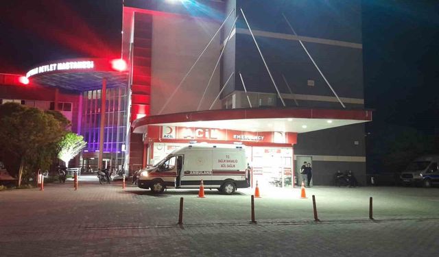 Otomobil yola çıkan köpeğe çarptı: 4 yaralı