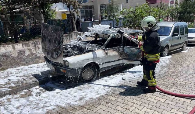Park halindeki otomobil alevlere teslim oldu