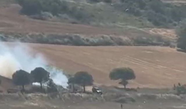 Piknik ateşi çayırlık alanı küle çevirdi