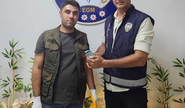 Polis ekiplerinin bulduğu yaralı gökkuzgun koruma altına alındı