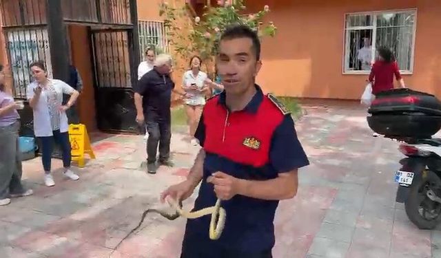 Sağlık ocağında yılan paniği