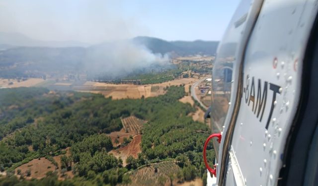 Seydikemer'de orman yangını
