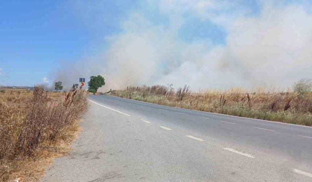 Silivri'de korkutan tarla yangını: Polis vatandaşları uyardı