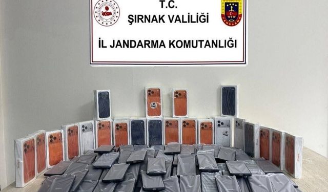 Şırnak'ta jandarmadan asayiş, kaçakçılık ve narkotik operasyonu