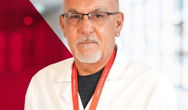 Sivrisinek kaynaklı chikungunya virüsüne karşı uyarı