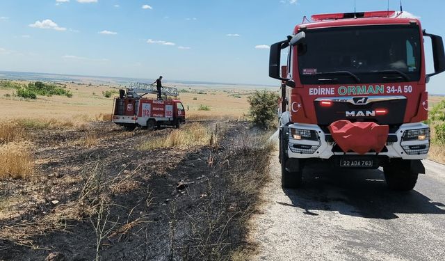 Süloğlu'nda tarla yangını: Buğday ekili alan zarar gördü