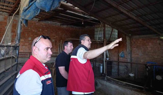 Tekirdağ'da hayvancılık faaliyetleri yerinde incelendi