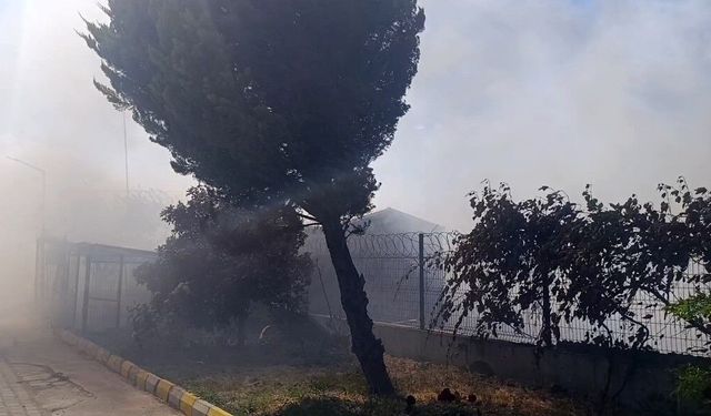 Tekirdağ'da tarım arazisinde başlayan yangın: Alevler 4 farklı noktaya sıçradı