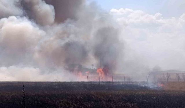 Tekirdağ'da tarım arazisinde iki noktada yangın