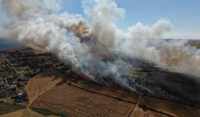 Tekirdağ'daki yangının boyutu havadan görüntülendi