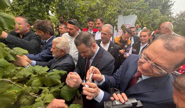 Trabzon'da kahverengi kokarcaya karşı doğal ordu göreve başladı