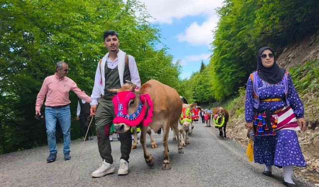 Trabzon'un Şalpazarı ilçesinde geleneksel yayla göçü başladı