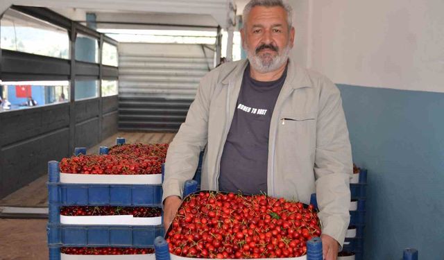 Türkiye'nin en erken kiraz yetişen ikinci ili olan Bilecik'te bu yıl rekolte yüzleri güldürdü