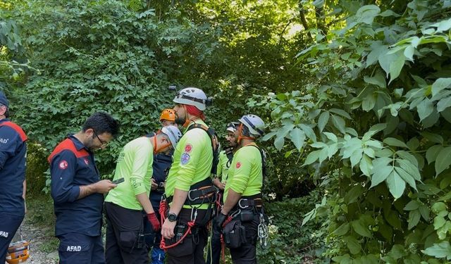 Uludağ'a ıhlamur toplamaya gitti, uçurumdan düşerek hayatını kaybetti