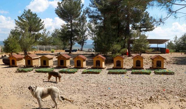 Uşak Belediyesi Başkan Vekili Özkan'dan hayvan bakımevine ziyaret
