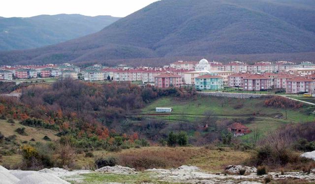 Yalova'da 58 işyeri satışa çıkarılıyor