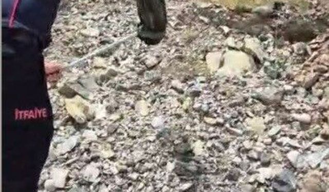 Yatak ve halıların arasına saklanan yılanı itfaiye buldu