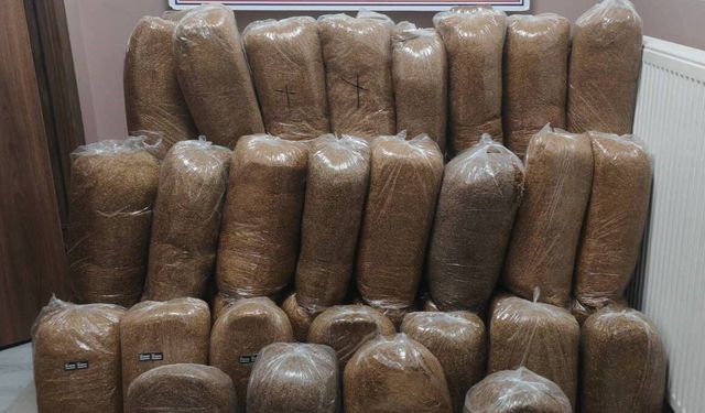 Yolcu otobüsünde 510 kilo kaçak tütün bulundu