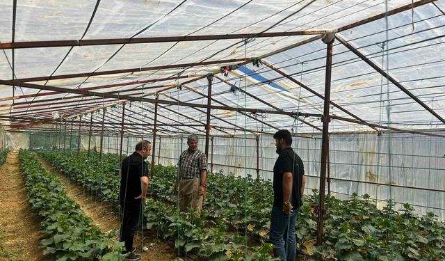 Yüksekova Tarım ve Orman Müdürlüğü ekiplerinden çiftçilere saha desteği