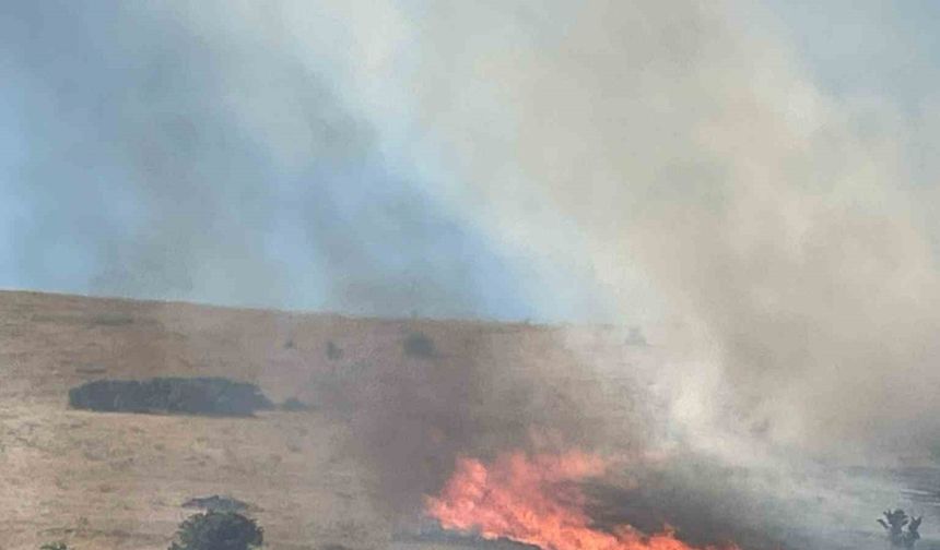 Malatya’da bir hektarlık alanda anız yangını