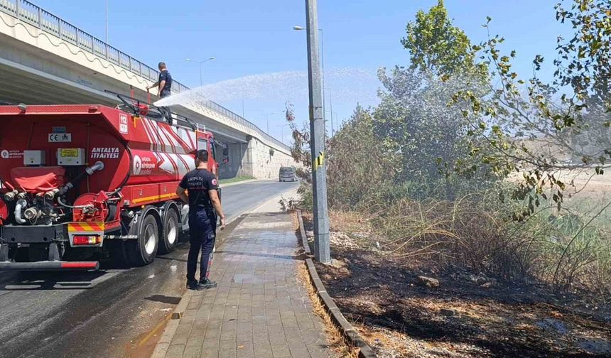 Yol kenarına atılan izmariti yangına yol açtı