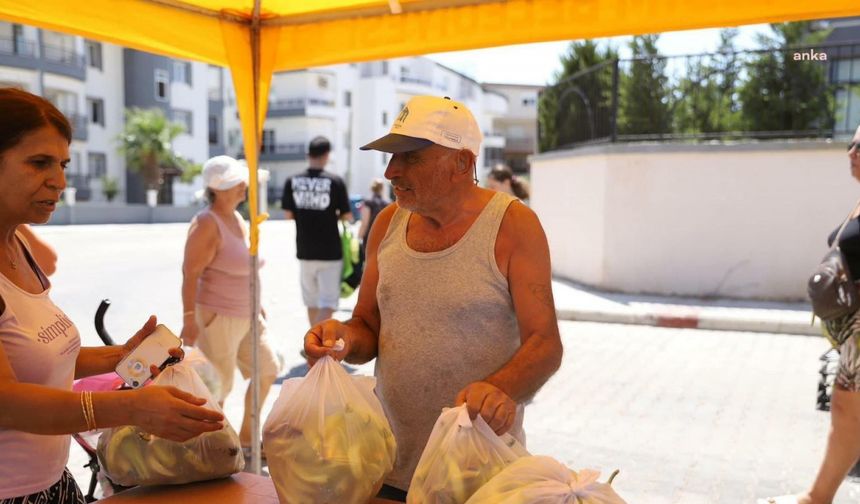 Didim Belediyesi, ücretsiz sebze dağıtımı yapıyor