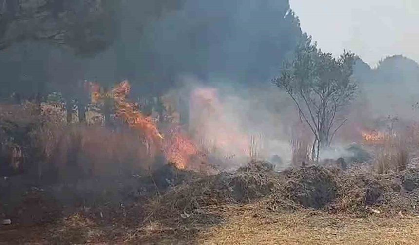 Yangın ormana ulaşmadan söndürüldü