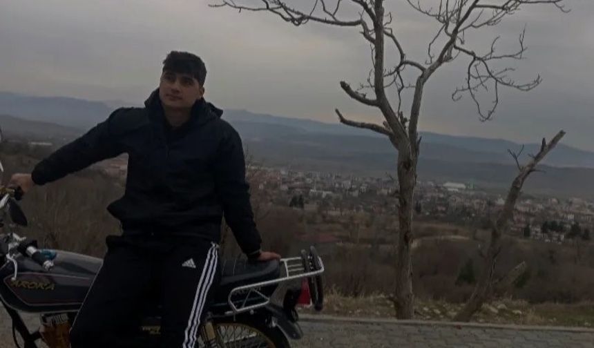 Otomobilin önüne çıkan domuz kazaya yol açtı