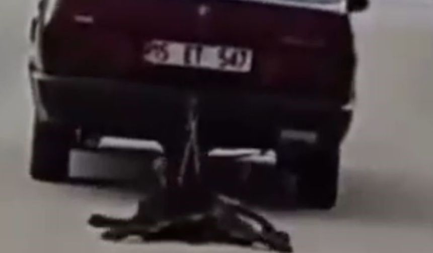 Burdur’da köpeği araçla sürükleyen şahıs tutuklandı