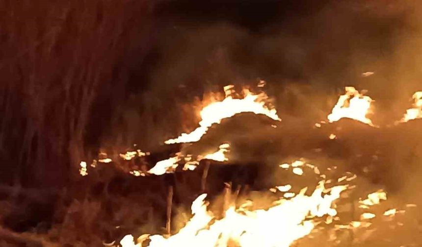 Van’ın Gevaş ilçesinde 3 saat süren sazlık yangını