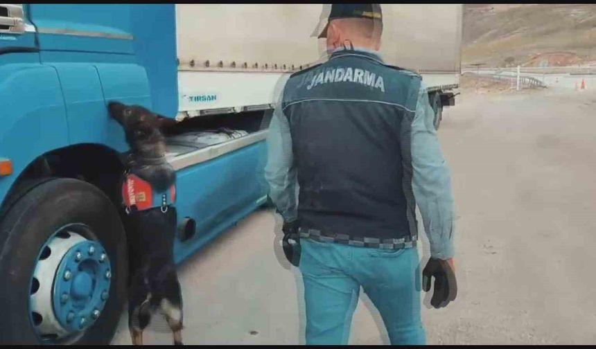 Tütün tespit köpeğiyle yapılan denetimde kaçak sigara ele geçirildi
