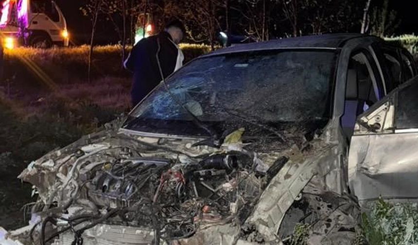 Söğütlü'de tarlaya uçan otomobilde 4 kişi yaralandı