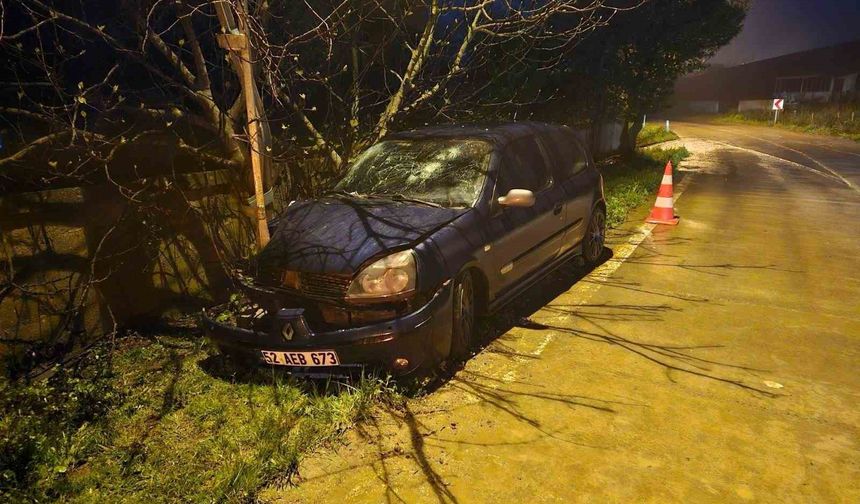 Otomobil elektrik direğine çarptı