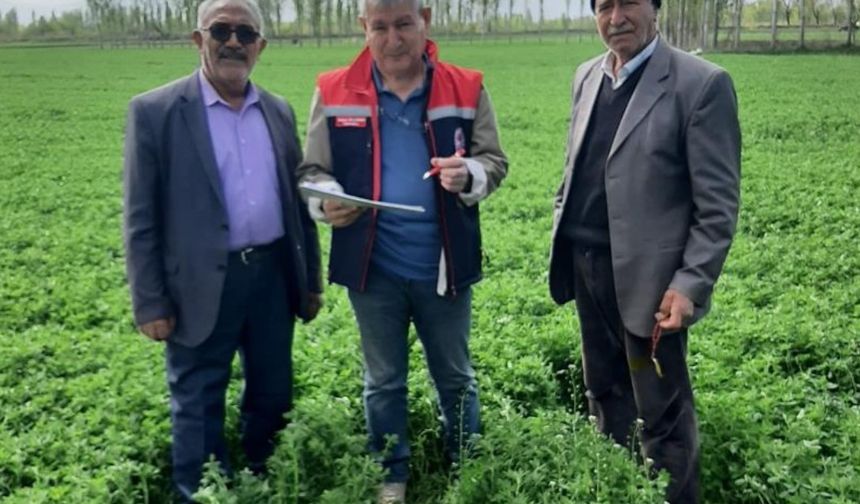Iğdır’da yem kontrolleri sürüyor