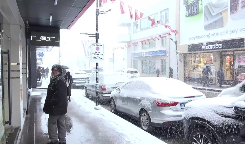Aksaray, bahar ayında beyaza büründü