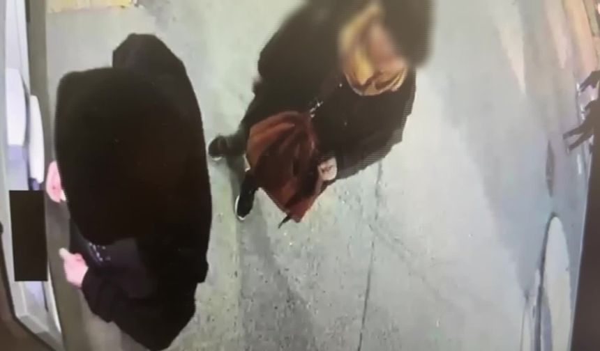 Dolandırıcılık operasyonunda 413 suçtan aranan şebeke lideri yakalandı