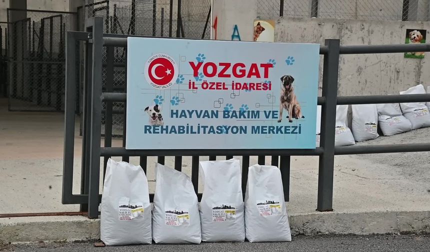 Mehmet Sağlam, sokak hayvanları sorununa çözüm arayışında