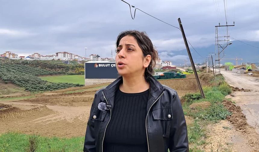 Zeytinliklerin kamulaştırılmasına tepkiler sürüyor